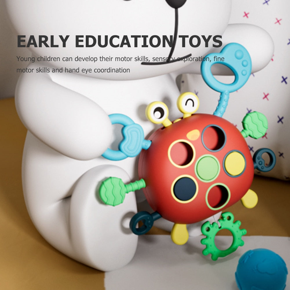 Lightweight Educational Crab toy