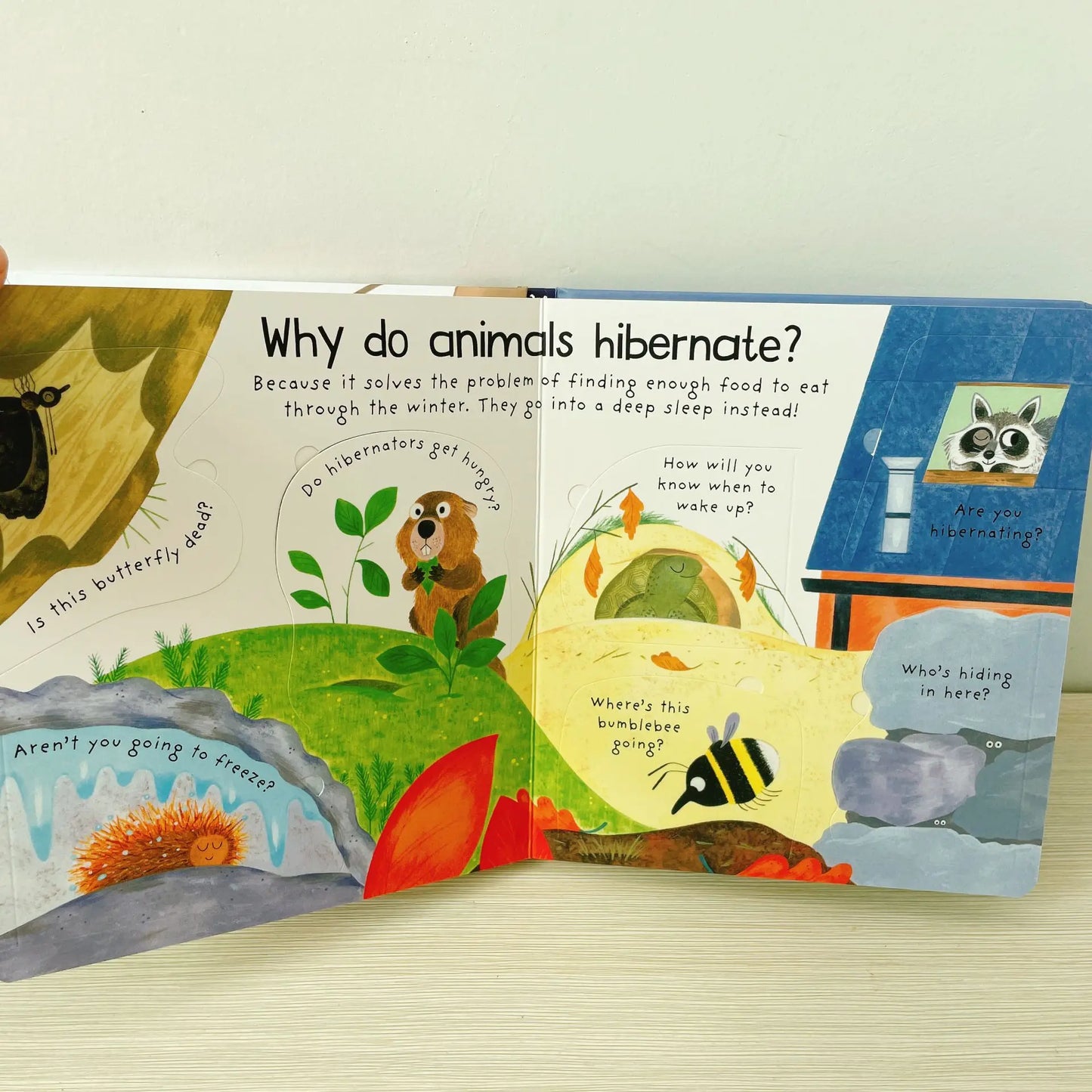 Where Animals Go Winter Book