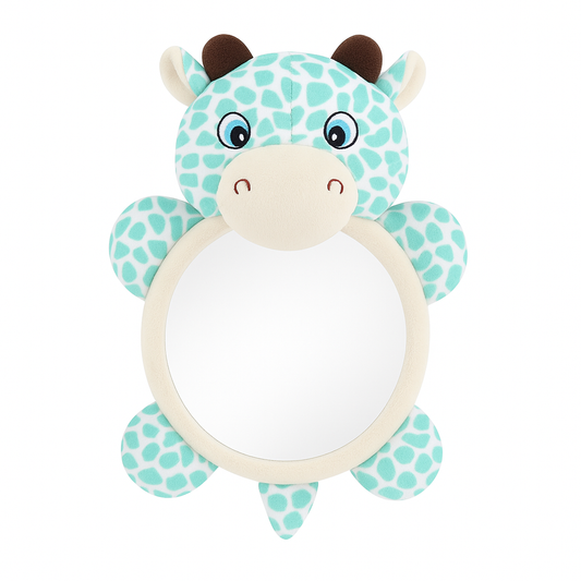 Baby Back Seat Mirror