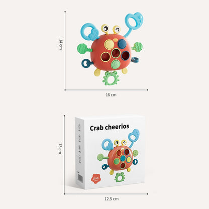 Lightweight Educational Crab toy