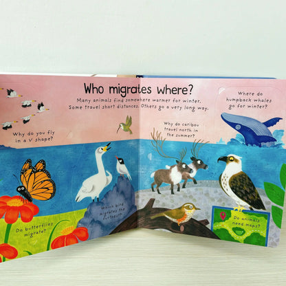 Where Animals Go Winter Book