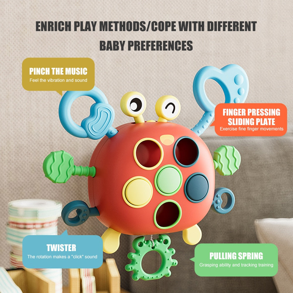 Lightweight Educational Crab toy