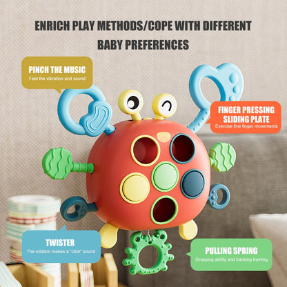 Lightweight Educational Crab toy