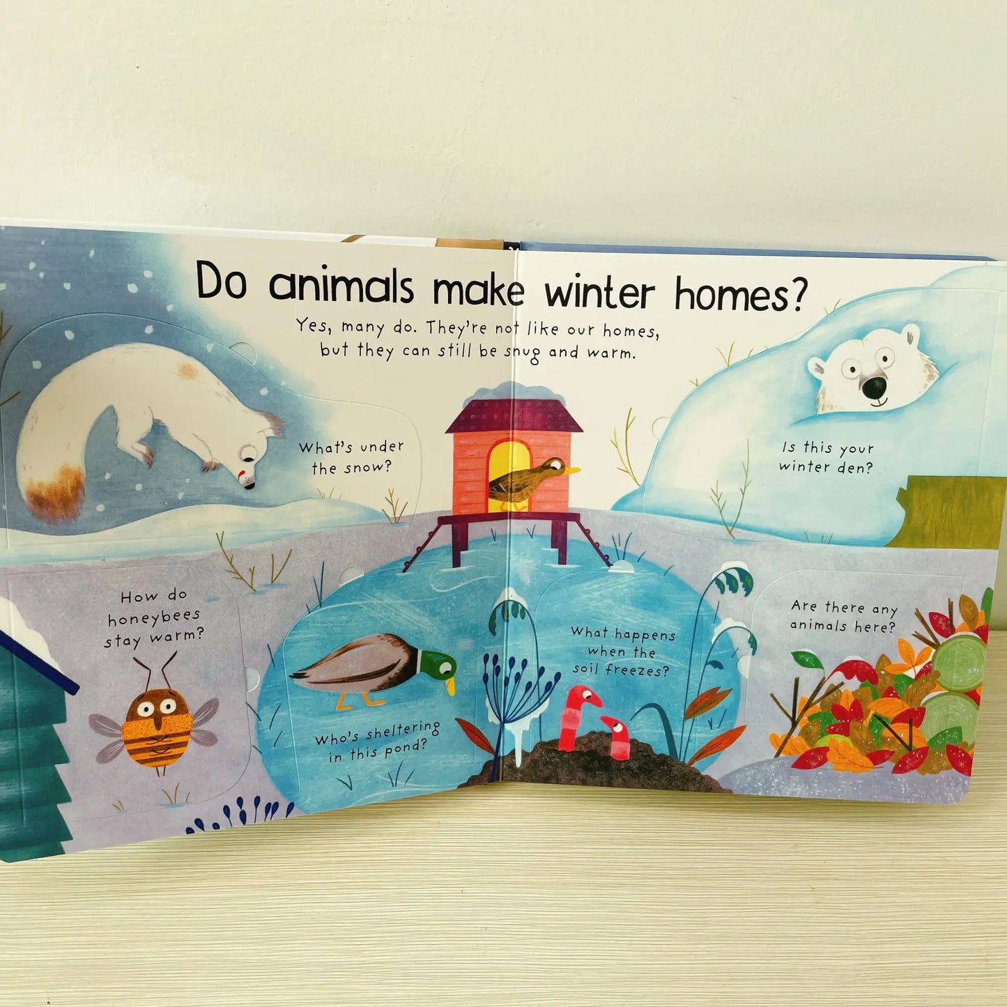 Where Animals Go Winter Book