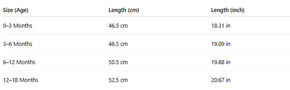 Infant Boy Formal Suit Set