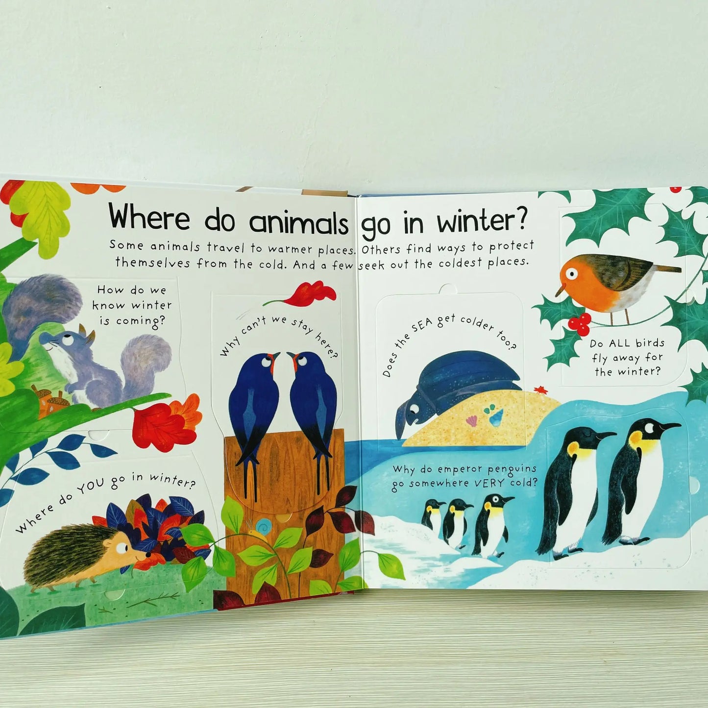 Where Animals Go Winter Book